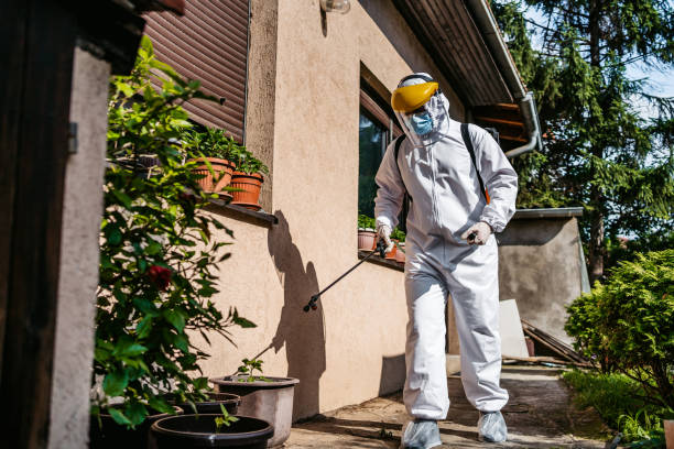 Best Termite Control Services  in Glenwood, IL