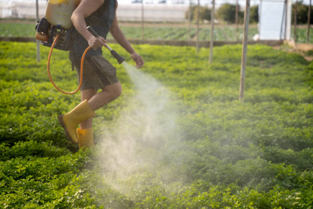 Best Affordable Pest Control Services  in Glenwood, IL