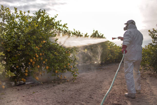 Best Wasp Removal Services  in Glenwood, IL