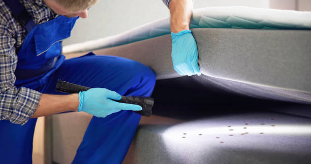 Best Residential Pest Control  in Glenwood, IL