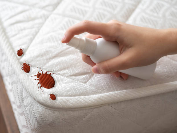 Best Pest Removal Services  in Glenwood, IL