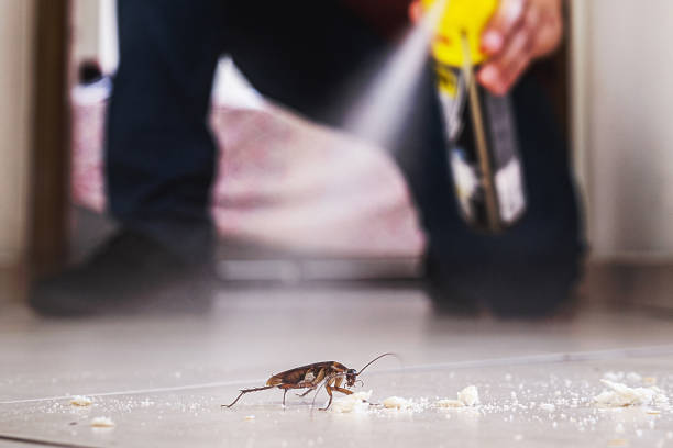 Best Mosquito Control Services  in Glenwood, IL