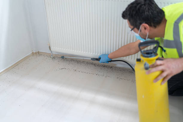 Best Commercial Pest Control Services  in Glenwood, IL
