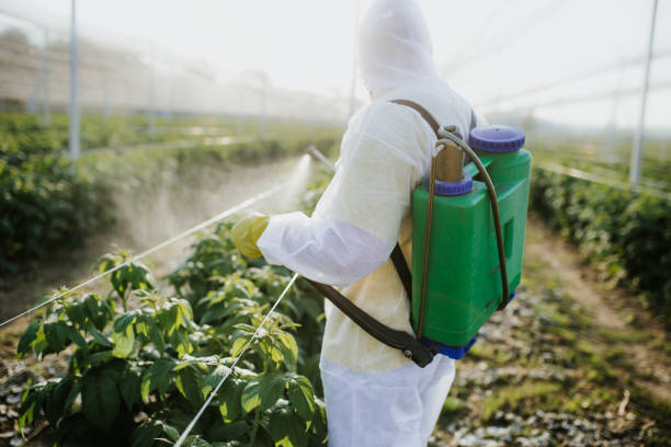 Best Termite Control Services  in Glenwood, IL
